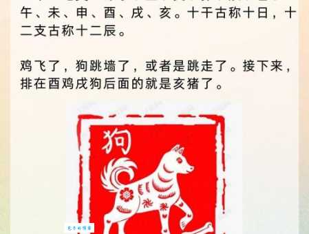 欢蹦乱跳是什么生肖？一文讲透最喜欢活动的生肖动物！