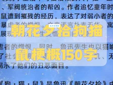 民间常说狗尾续貂指什么生肖？三个角度为你详细解读