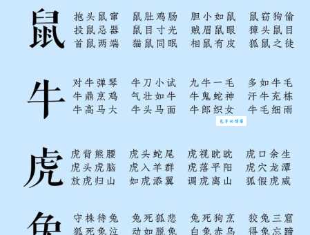 千山万水都走遍正确动物生肖解析，这几个动物最符合！