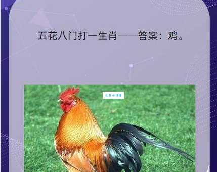 鸡鼠相争龙虎亡柳暗花明又一村怎么猜?解析正确生肖
