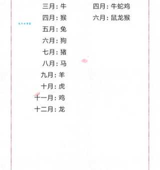 花前月下指什么生肖最好？看老玩家如何分析背后谜底！