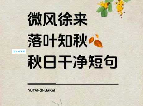 一叶知秋什么意思?不仅仅是秋天来了这么简单!