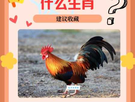火伞高张是什么生肖?看完这篇文章你就明白了!