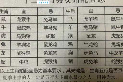 笨头笨脑吾出码是什么生肖？为你解析这个生肖的奥秘！