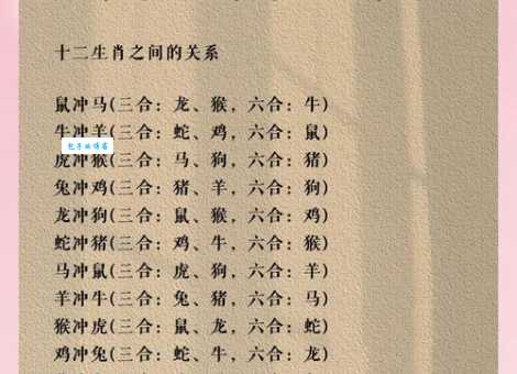 笨头笨脑吾出码是什么生肖？为你解析这个生肖的奥秘！