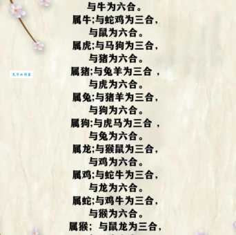 鼠入牛角打一准确生肖到底指谁?看懂这个典故就知道