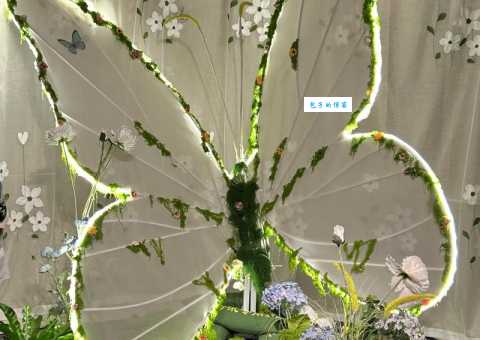 庄生晓梦迷蝴蝶打一动物是什么生肖?看完这篇文章就懂了!