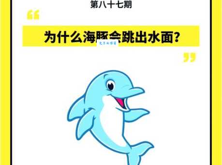 漂洋过海是什么生肖的代称？深度解析背后的深刻含义！