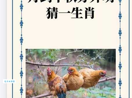 残羹剩饭代表哪个生肖？为你揭晓最准确的生肖答案！