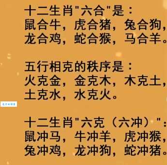 残羹剩饭代表哪个生肖？为你揭晓最准确的生肖答案！