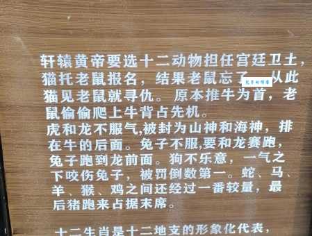 山清水秀好地方是什么生肖？快来一文读懂其中的奥秘！