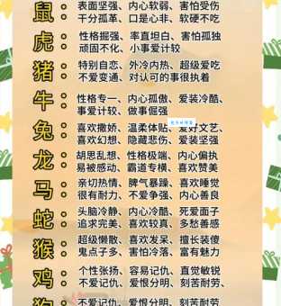 如何理解匿瑕含垢最正确的生肖？带你深入了解生肖文化