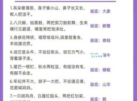 空前绝后打一最佳动物揭晓，带你了解生肖谜语的奥秘！