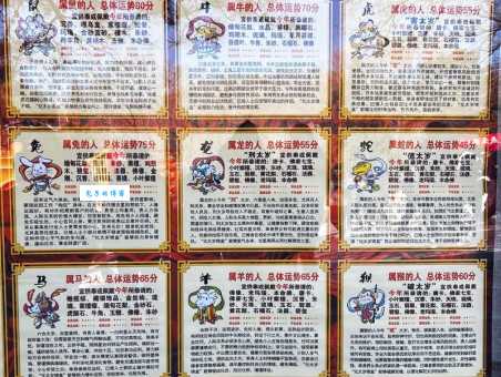 五湖广海在天涯正确生肖是什么？深度解析其中玄机！