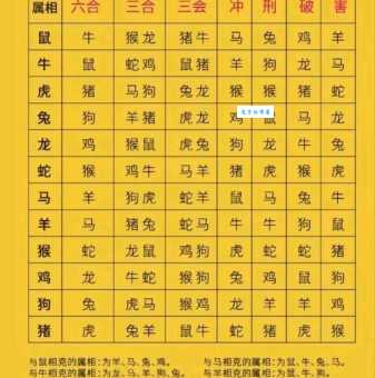 重见天日最佳生肖精准推荐，快来看看你的生肖在不在！