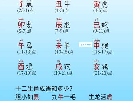 重见天日最佳生肖精准推荐，快来看看你的生肖在不在！