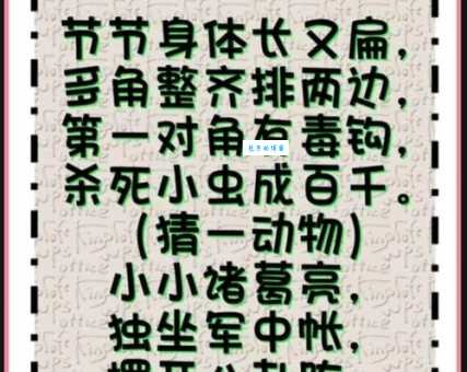 谈笑风生打一正确动物是什么？揭晓这个生肖谜语答案！
