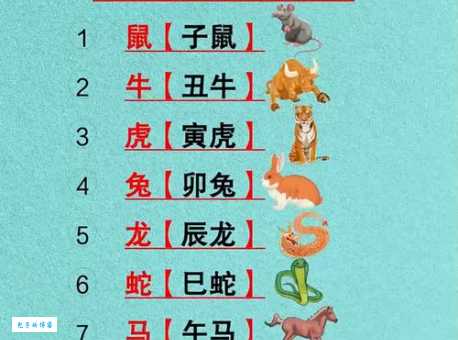 盘点发奋图强最正确的生肖，看看你的属相是否榜上有名？