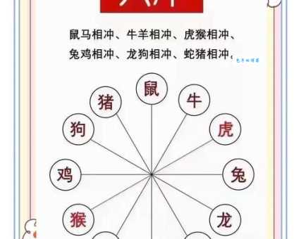 生逢闰四初十口打一个生肖是什么？快来看看答案解析