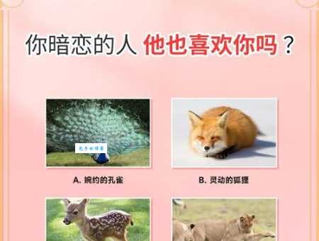 猜猜男欢女爱打一最佳动物？资深玩家分享解析思路