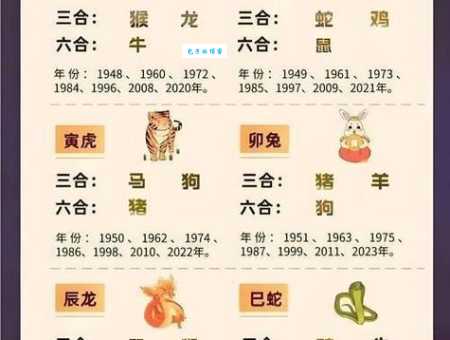 貌不惊人打准确一肖怎么解？分享几个实用的生肖分析思路