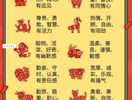 手不停毫是代表最佳什么生肖词语？快速了解这个生肖的含义！