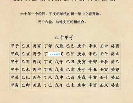 乙丑推开庚子码是指什么生肖?带你深度解析背后含义!