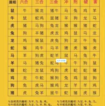 目空一切是什么生肖最准确?快来看看你的属相上榜没