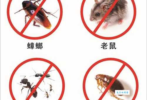四害是指哪4种？带你了解除四害的基础小常识！