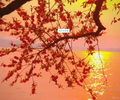 什么是如诗如画的斜阳？教你如何拍出绝美落日大片！