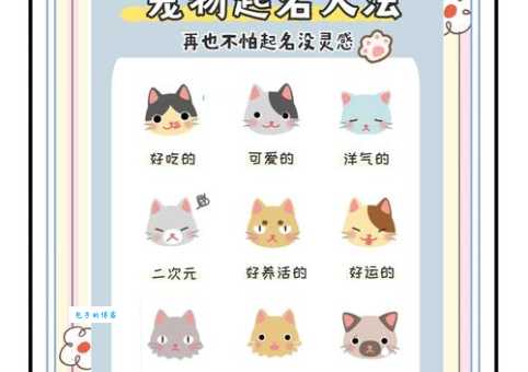 神武好听的宠物名字集锦,快来看看哪个名字更适合你!