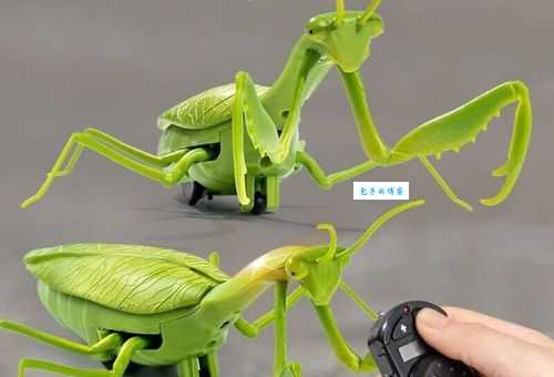 蛇为什么怕螳螂？带你了解这种凶猛昆虫的捕猎本领！