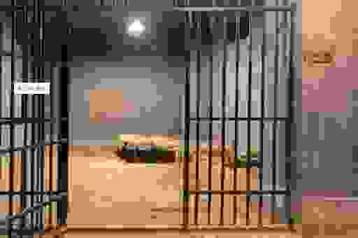 这个字藏在女子监狱里 10秒内猜出女子监狱打一字