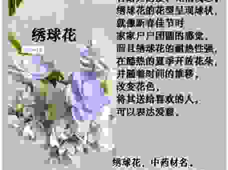 花儿为什么会开？影响开花的关键因素有哪些