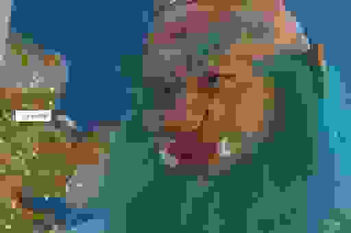 东海龙王是什么颜色的龙？真的有标准答案吗？