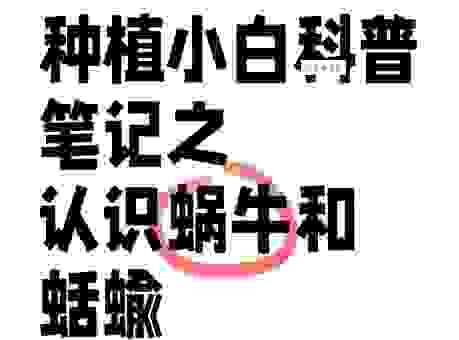 烉怎么读音太纠结？看完这篇你就彻底明白了