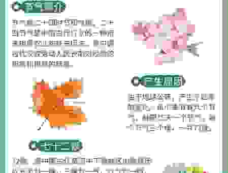 节气知识挑战：只图内心合得来到底指的是哪个节气？