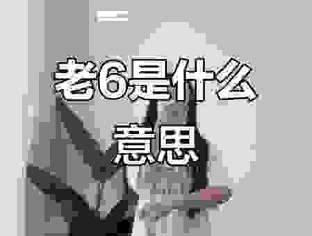 白老F是什么意思