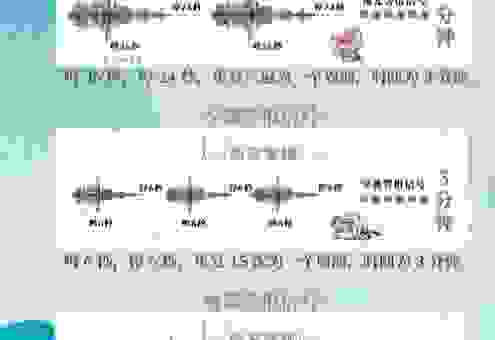 空袭警报打一成语