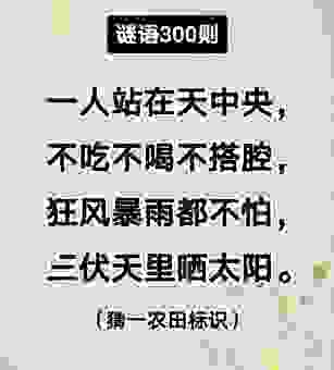 关于国庆的早晨打一字 资深谜语高手这样说
