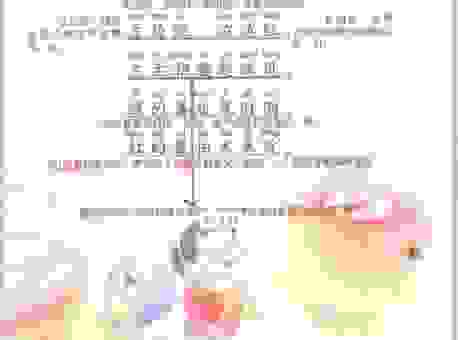 猜灯谜春末夏初打一字 老手都在用这个技巧