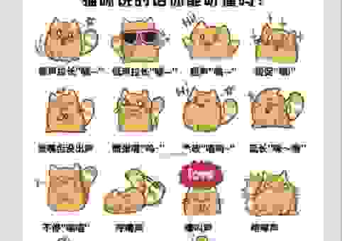 新手必看“嗷嗷是什么意思”的全面解释和使用技巧