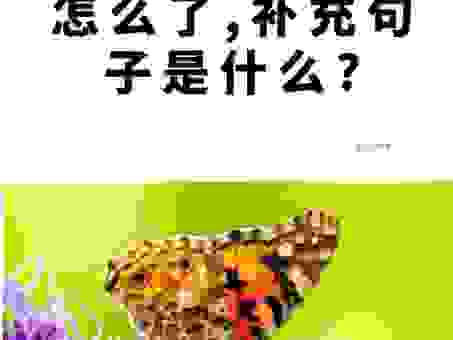 为什么花开之后蝶前来打一字总是让人想不通？揭秘背后逻辑！