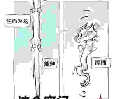 不懂梅龙是什么意思？这篇帮你彻底搞清楚！