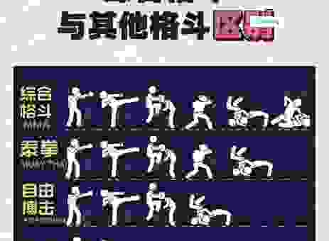 斗拳是什么意思的全面解析,让你不再感到困惑