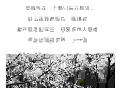一枝红杏出墙来打一成语是哪个？答案揭晓让你猜不到