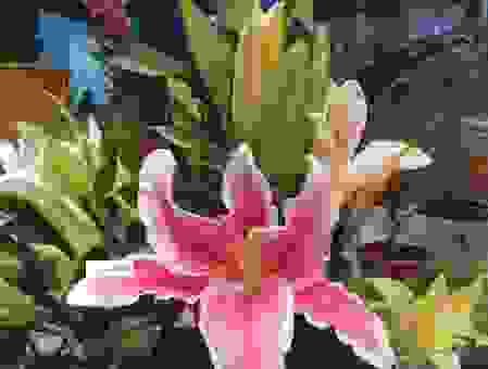 了解贝宁投资环境和市场潜力 别错过这波机会