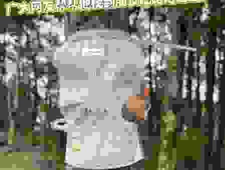 树上挂着白毛巾打一字是什么字？这个谜语考验你的想象力！