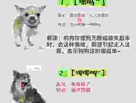 狗男女是什么意思啊？网络流行语的真实含义揭秘！