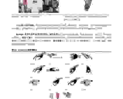 parameterize是什么意思？这个技术点你真的了解吗？